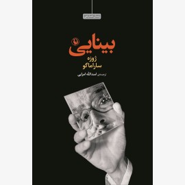 بینایی (شمیز)